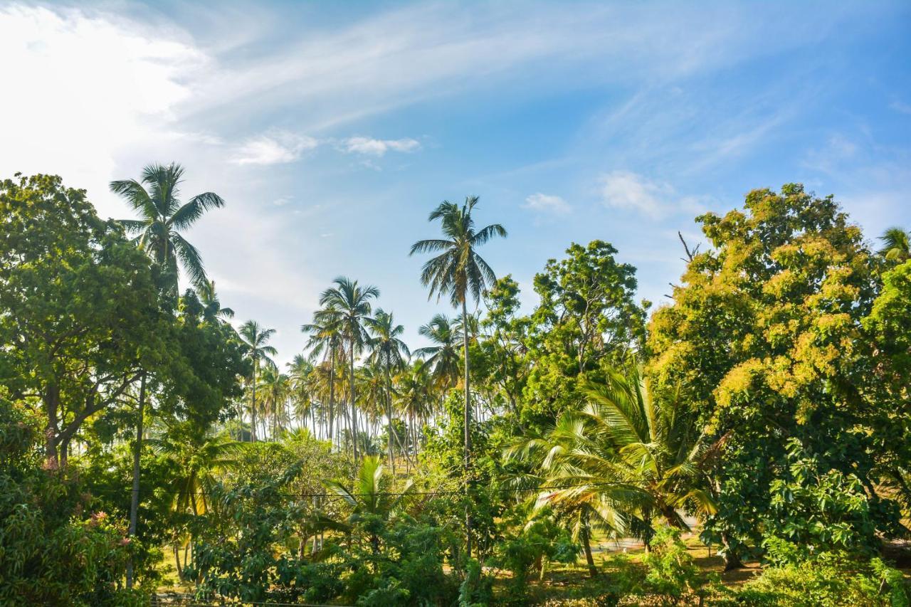 Janu Homestay Tangalle Eksteriør bilde